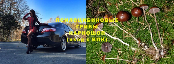 ПСИЛОЦИБИНОВЫЕ ГРИБЫ Бородино